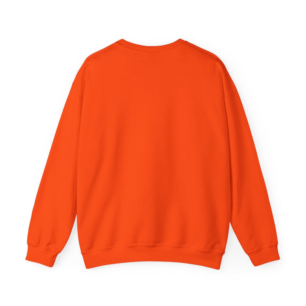 Bat Shit Crazy Text - Cozy Pullover Sweatshirt