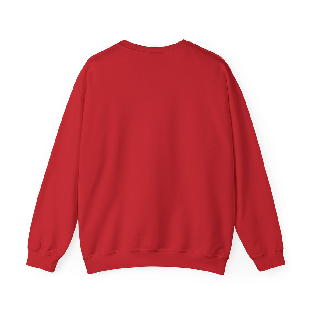 Bat Shit Crazy Text - Cozy Pullover Sweatshirt