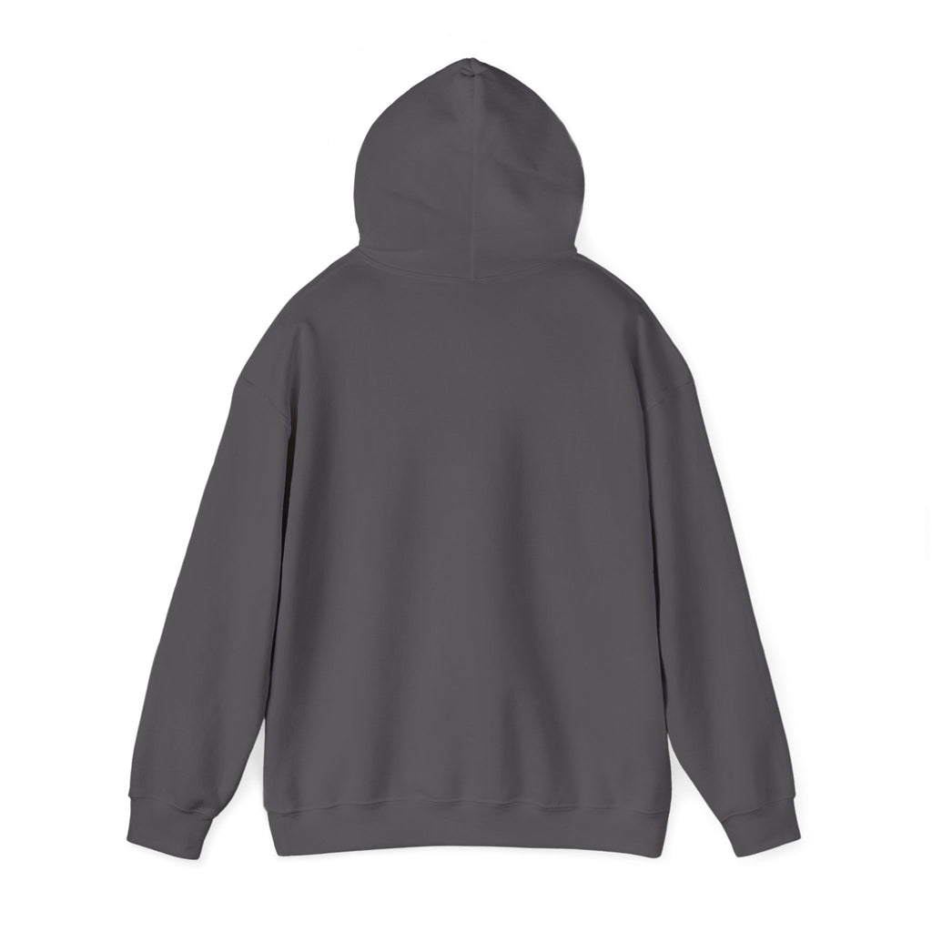 The Older I Get The Heller The No - Cozy Hoodie